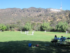 Cricket in the Hills
